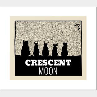 Crescent Moon Posters and Art